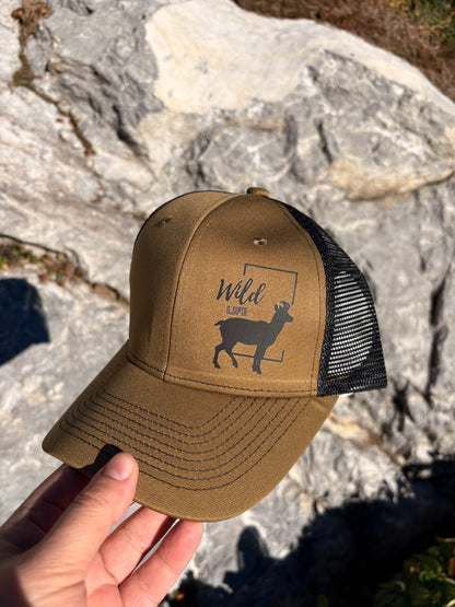 Wild Life Gams Cap